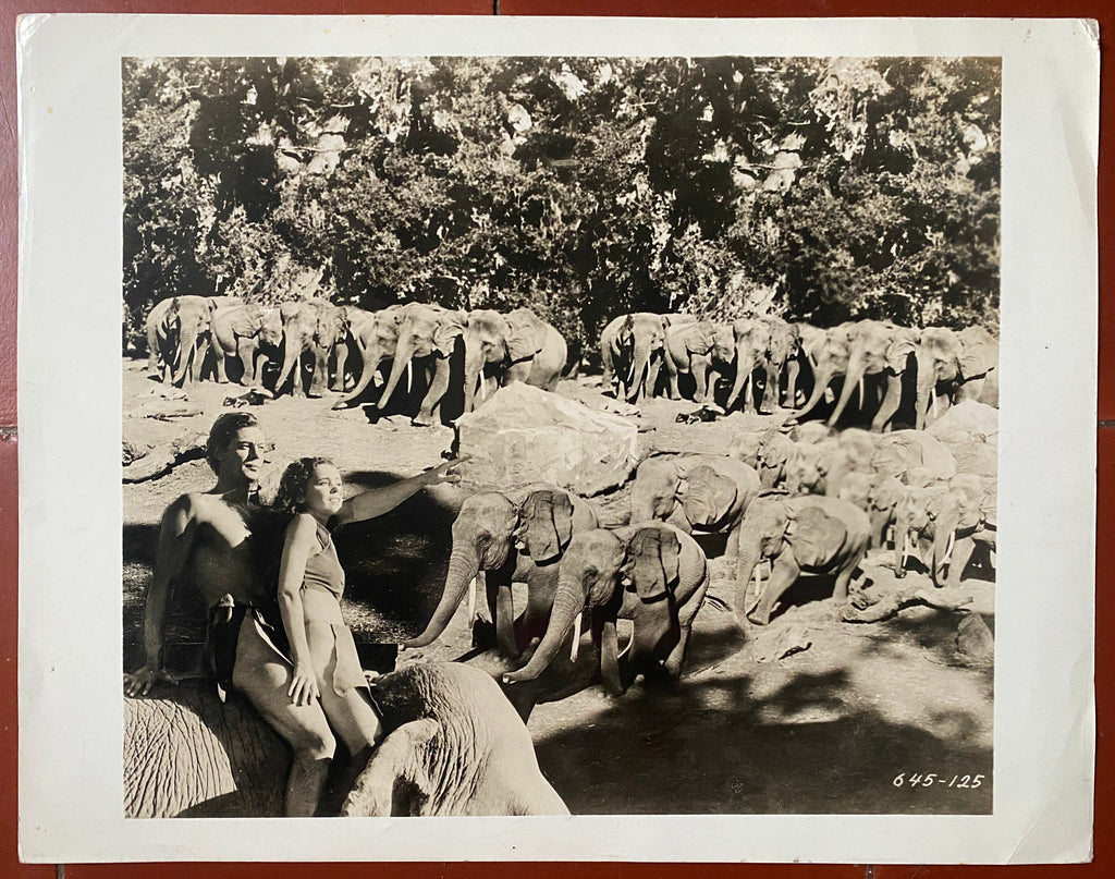 写真 ジョニー・ワイズミュラー　ターザン　ヴィンテージフォト オリジナル写真 ターザンとその仲間 ターザンとその仲間 ジョニー