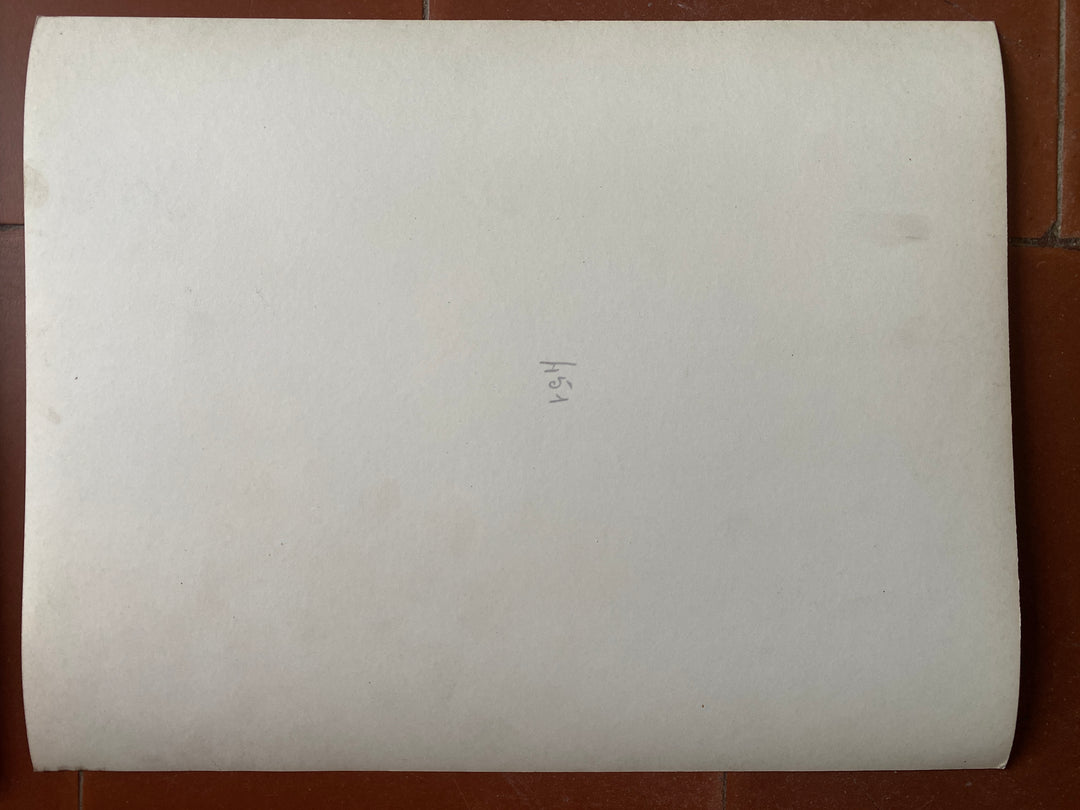 ペイデフェ　美女と野獣　パンツ　未使用　美品　ジャン・コクトー　モチーフ テーマはジャン・コクトー『美女と野獣』！ 不思議系ブランド『pays